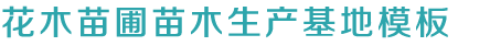 凯发k8官方网娱乐官方